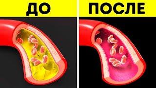 Начните Есть Рыбу Каждый День и Посмотрите, Что Произойдет с Вашим Телом