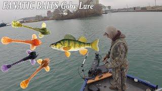 FANATIC BAITS Goby lure vs. Lake Michigan Perch