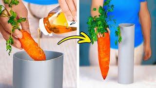 MAGICAL GARDENING HACKS YOU’LL NEVER BELIEVE EXIST! 