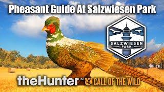 Pheasant Guide At Salzwiesen Park - theHunter Call Of The Wild