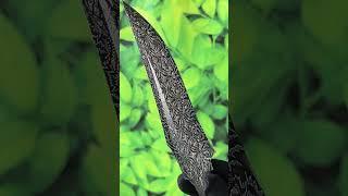 New mosaic Damascus blade by Noblie Custom Knives #customknives