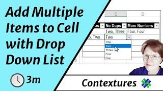 Excel Drop Down Multiple Select or Remove