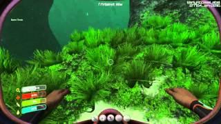 Subnautica где и как найти золото