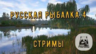 Русская рыбалка 4 ► Фармим на оз. Медном