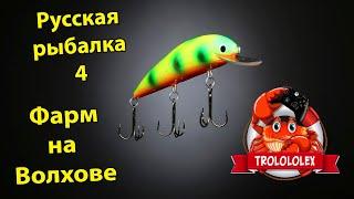 Русская рыбалка 4 Фарм на Волхове Russian Fishing 4