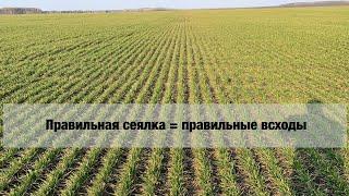 Horsch Pronto 12NT Посевная в Пензенской области началась