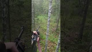 Охота на медведя. #привада#природа #тайга #охота #медведь #весенняяохота#benelli#benelli_argo
