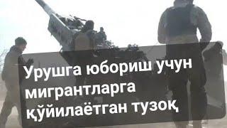 Бу ишга қўл урманг, бу аниқ тузоқ!..