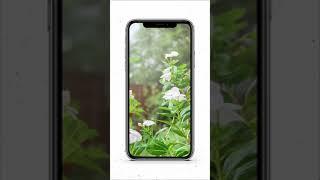 NEW IPHONE camera hack    || Try this easy hack now 4K #shorts