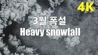 4K Drone Film, Heavy snowfall, 폭설 드론 영상, 힐링, 자연, 풍경,