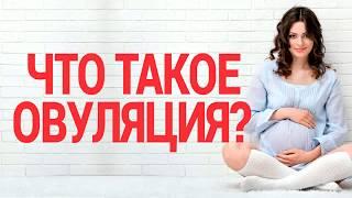 Что такое овуляция?