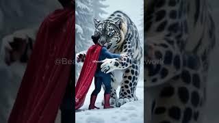 Beastly Tiger hugs Superman #ai #tiger #batman #superman