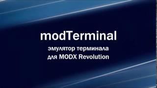 modTerminal