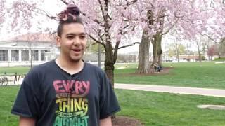 An international approach to the arts | James Madison University International Study Center