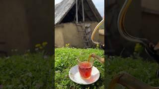 Beautiful Azerbaijan  #shorts #shortsfeed #shortsvideo #shortsviral #lənkəran #tea #nature #vlog