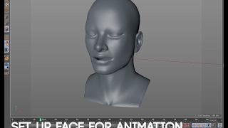 HOW TO "RIG" FACE USING POSE MORPH TAG - IN 30 MINUTES