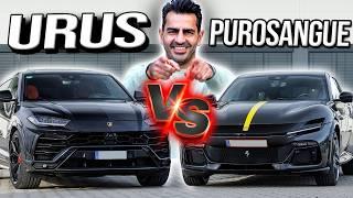 FINALE! Ferrari Purosangue oder Lamborghini UrusChampions League | Hamid #ferrari #lamborghini