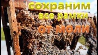 #пчёлы. Как сохранить соты от восковой моли без химии. Очень простой естественный способ.