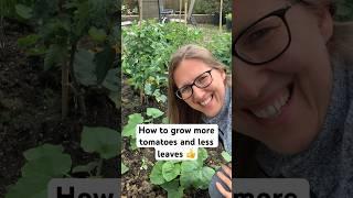  Grow more tomatoes and not the leaves #gardentips #kitchengarden #growveg