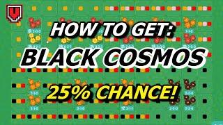 How to get Black Cosmos! (25% chance, Clone Pair Method) // ANIMAL CROSSING NEW HORIZONS guide