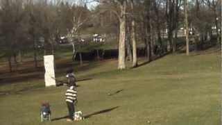 Golden Eagle Snatches Kid