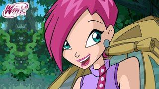 Winx Club - Top episodes with Tecna