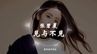 【HD高清音质】 张碧晨   -《见与不见》 动态歌词版本 【当心又痛了,是你来过了...】