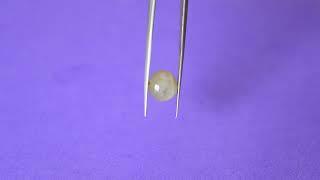 ID-173,4.97 Carat / 5.52 Ratti natural certified catseye.