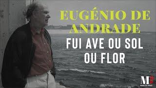 Fui Ave Ou Sol Ou Flor | Poema de Eugénio de Andrade com narração de Mundo Dos Poemas