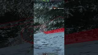 Foch B vs Foch 155