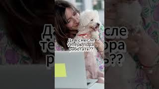 А чё только собак то? #интересное #юмор #факты #собака