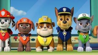 Щенячий патруль Щенки спасают положение летсплей по игре #pawpatrol