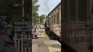 No. 73082 ‘Camelot’ Reversing to her Train | Bluebell Railway | Giants of Steam 2024 #shorts #train