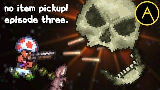 Terraria Skeletron No item pickup ft. Terrasteel