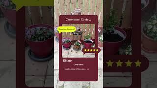 𝐒𝐚𝐯𝐚𝐧𝐧𝐚𝐡 𝐏𝐥𝐚𝐧𝐭 𝐏𝐨𝐭 #sgtraders #gardening #planters #gardendecor