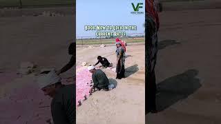 VEDA FARMS :On-Site Construction Progress | November Update   #noidarealestate