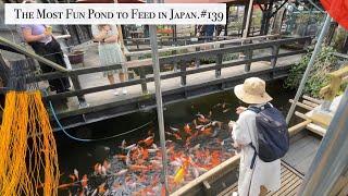 The Most Fun Pond to Feed in Japan(Yufuin, Oita)