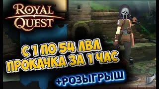 КАЧ С 1 ПО 54 ЛВЛ ЗА 1 ЧАС В ROYAL QUEST + РОЗЫГРЫШ 90 СУРГУЧЕЙ