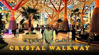 அழகின் உச்சம் | WRLD BEAUTIFUL CRYSTAL WALKWAY‍️ | QATAR | Sham Visin