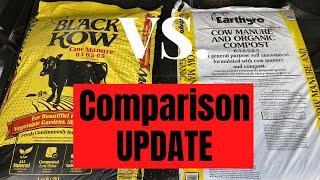 Black Kow Compost vs  Earthgro Compost UPDATE