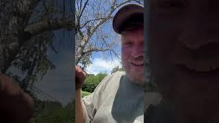 Would you eat THIS? … #vlog