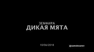 Земфира -Дикая Мята 2018