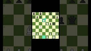 Alexander Alekhine Brillancy #chess #chesscom #gothamchess