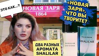 Новая Заря Шалилар / ПОЧЕМУ ТЫ ТАКОЙ РАЗНЫЙ?