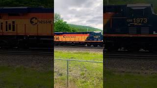 CSX 1973 Chessie System Heritage Unit in Chester, MA #train #railfanning