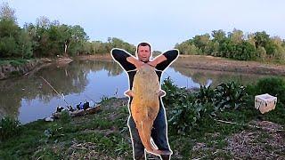 GIANT MONSTER 67lb. FLATHEAD CATFISH! (Raw Fight)