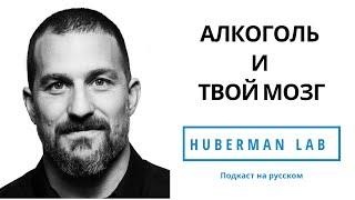 Что происходит с вашим мозгом при употреблении алкоголя  Доктор Эндрю Хуберман