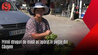 Primii struguri de masă au apărut în piețile din Căușeni