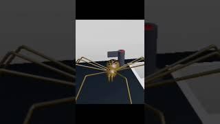 spider dave
