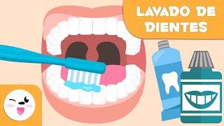 Cómo lavarse los dientes paso a paso - Lavado de dientes para niños